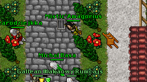 Mistic'Amagorius on screen