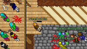 Neekokin on screen