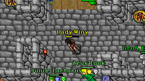 Lady Winy on screen