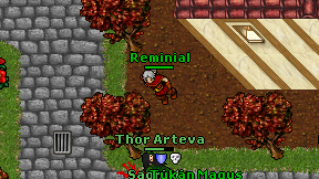 Reminial on screen