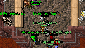 Ever Fighter on screen