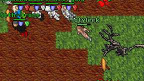 Motyleek on screen
