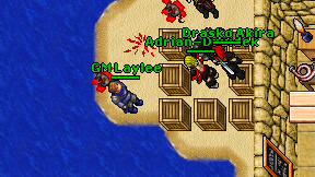 GM Laylee on screen