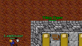 Tibia Tiger on screen