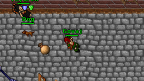 Govaj on screen