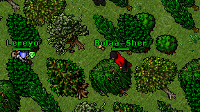 Bolaa-Sher on screen