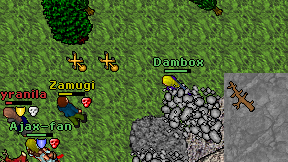 Dambox on screen