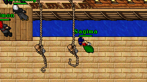 Sagima on screen