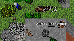 Auriok Transfixer on screen