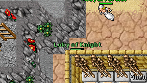 Loky of Knight on screen