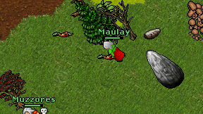 Maulay on screen