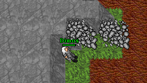 Dimos on screen