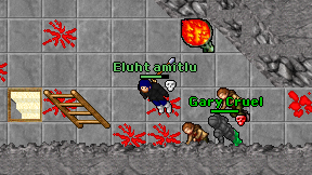 Eluht amitlu on screen