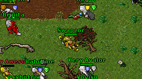 Swapzor on screen