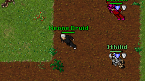 Neone Druid on screen