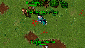 Muddis the druid on screen