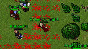 Asterix Knight on screen