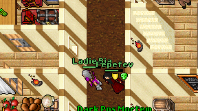 Ladie Bia on screen