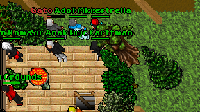 Diegoztt on screen