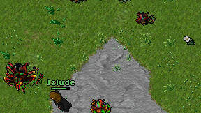 Izlude on screen