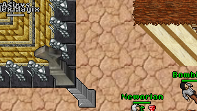Miss Rincewind on screen