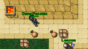 Kung Fusaum on screen