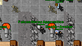 Falcon Heros Apprentice on screen