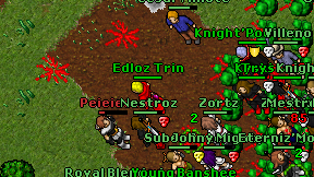 Edloz Trin on screen