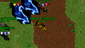Heart-Druid on screen