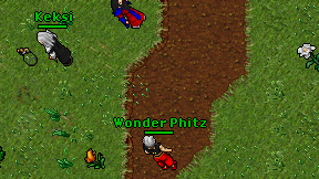 Wonder Phitz on screen