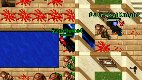 Sznelokot on screen