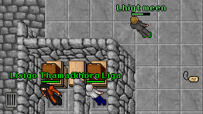 Thoro Liga on screen