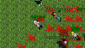 Hekehu on screen