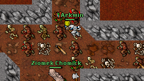 Arkwin on screen