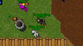 Pragmire on screen