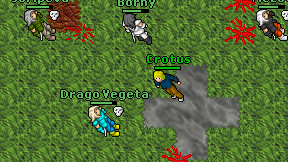 Crotus on screen