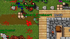 Tadek Braveheart on screen