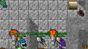 Ancdruid on screen