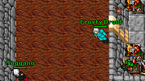 Frosty Druid on screen