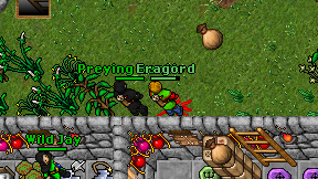 Eragord on screen