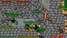 Vuzjon on screen