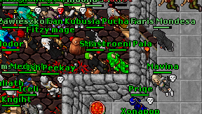 Fitzy mage on screen