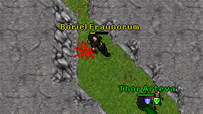 Boriel Fraunorum on screen