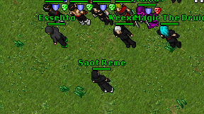 Saot Reme on screen
