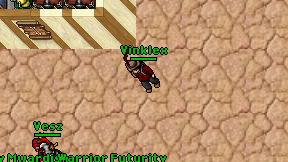 Vinklex on screen