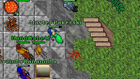 Master Pakerski on screen
