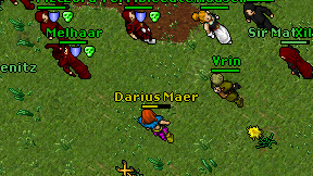 Darius Maer on screen