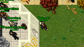 Yobsti on screen