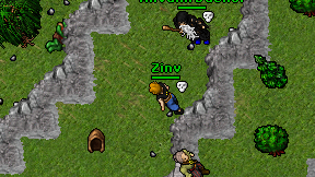 Zinv on screen