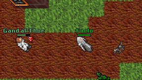 Faclo on screen
